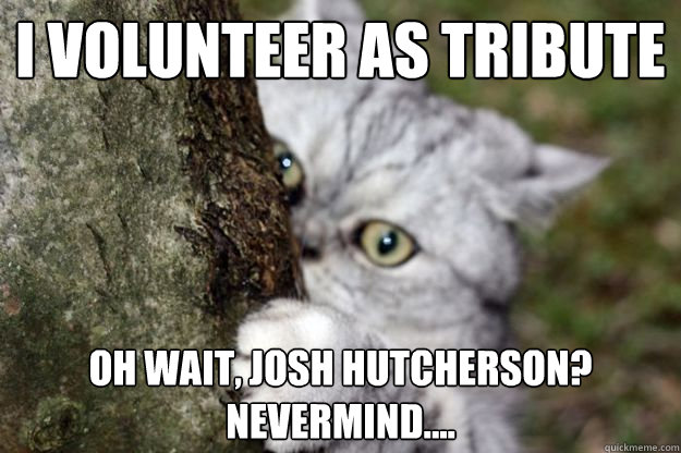 I volunteer as tribute Oh wait, Josh Hutcherson?
nevermind.... - I volunteer as tribute Oh wait, Josh Hutcherson?
nevermind....  Hunger games cat