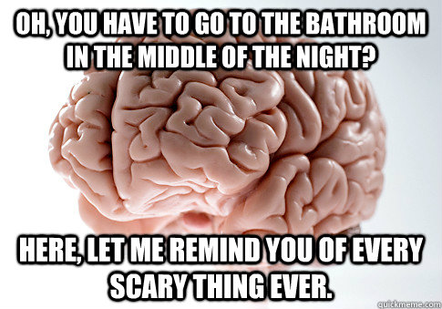 Oh, you have to go to the bathroom in the middle of the night? Here, let me remind you of every scary thing ever.  Scumbag Brain