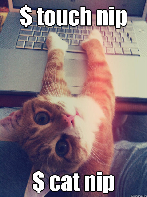 $ touch nip $ cat nip  Programmer Cat