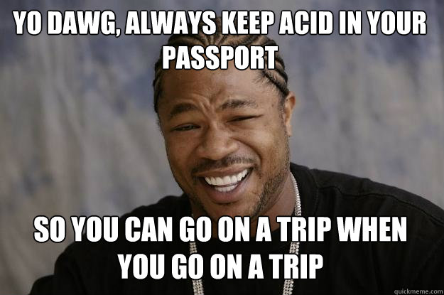 Yo dawg, always keep acid in your passport so you can go on a trip when you go on a trip  Xzibit meme