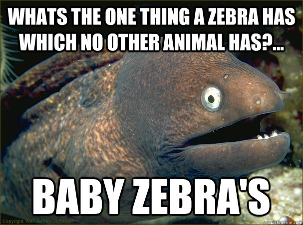 Whats the one thing a zebra has which no other animal has?... Baby Zebra's  Bad Joke Eel