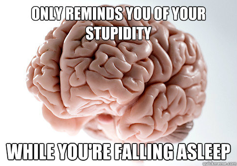 only reminds you of your stupidity while you're falling asleep  Scumbag Brain