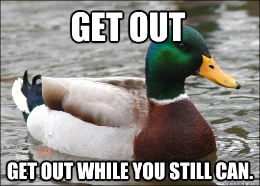 Get out Get out while you still can. - Get out Get out while you still can.  Actual Advice Mallard