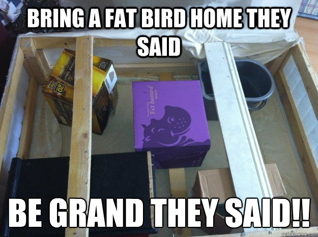 Bring a fat bird home they said be grand they said!!
  broken bed