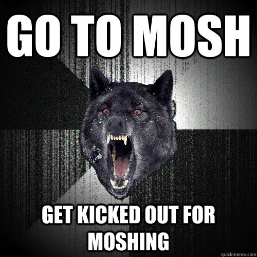 go to mosh get kicked out for moshing  Insanity Wolf