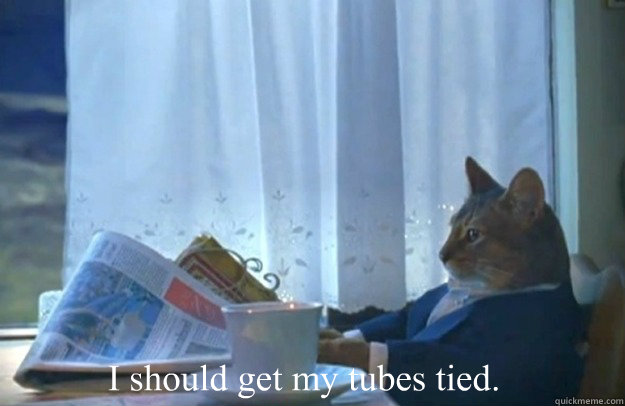 I should get my tubes tied.  Sophisticated Cat