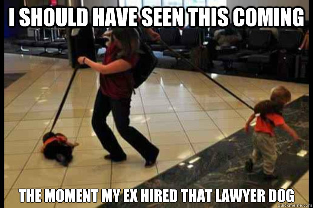 i should have seen this coming the moment my ex hired that lawyer dog - i should have seen this coming the moment my ex hired that lawyer dog  up against the best...