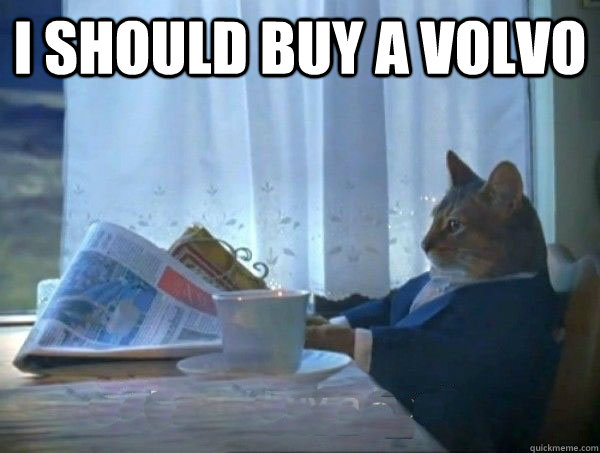 I should buy a volvo    morning realization newspaper cat meme