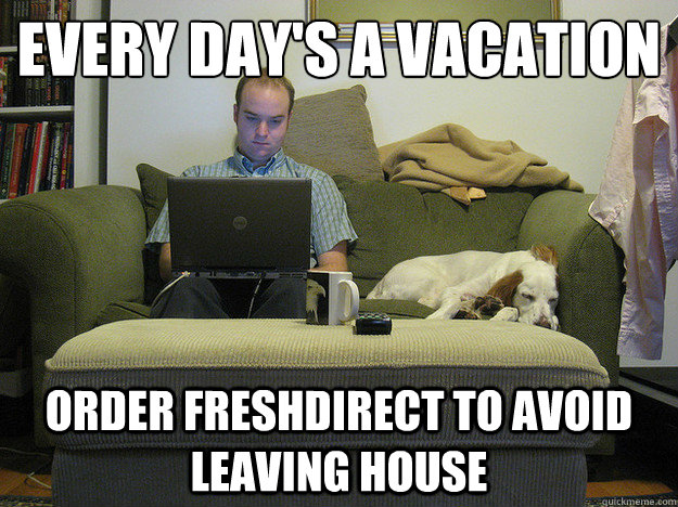 every day's a vacation order freshdirect to avoid leaving house  Freelancer Fred