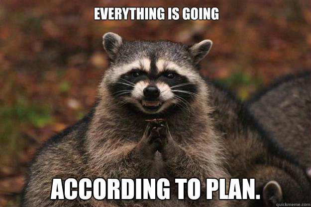 everything is going according to plan.  Evil Plotting Raccoon