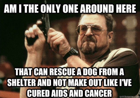 Am I the only one around here that can rescue a dog from a shelter and not make out like I've cured aids and cancer - Am I the only one around here that can rescue a dog from a shelter and not make out like I've cured aids and cancer  Am I the only one