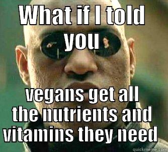 WHAT IF I TOLD YOU VEGANS GET ALL THE NUTRIENTS AND VITAMINS THEY NEED  Matrix Morpheus