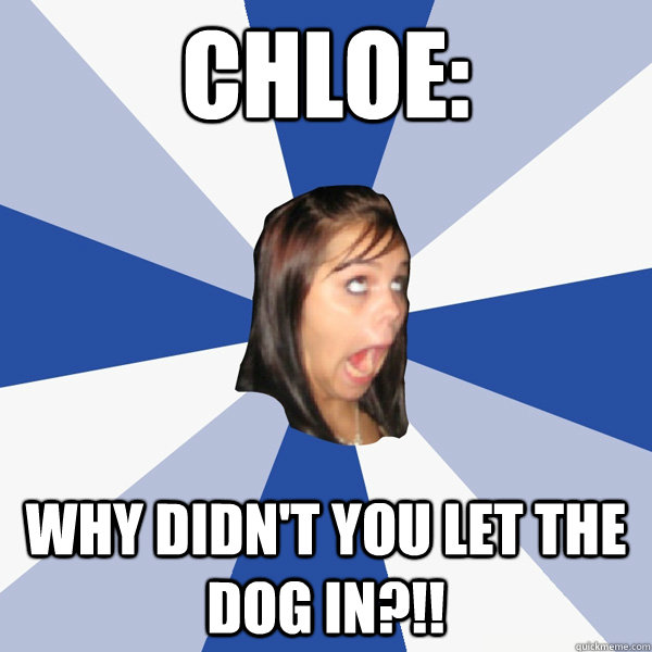 Chloe:  Why didn't you let the dog in?!!  Annoying Facebook Girl