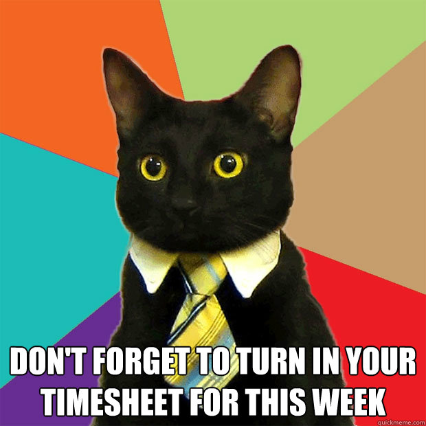  Don't forget to turn in your timesheet for this week  Business Cat