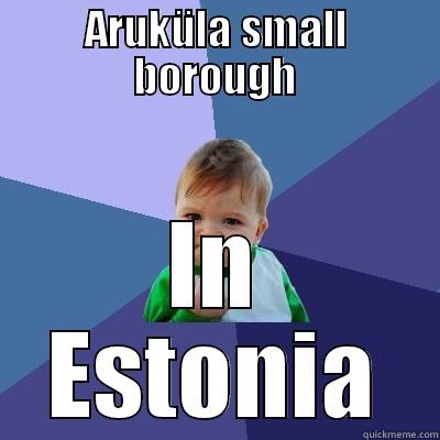 ARUKÜLA SMALL BOROUGH IN ESTONIA Success Kid