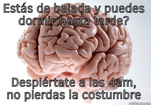 ESTÁS DE BAJADA Y PUEDES DORMIR HASTA TARDE? DESPIÉRTATE A LAS 4AM, NO PIERDAS LA COSTUMBRE Scumbag Brain