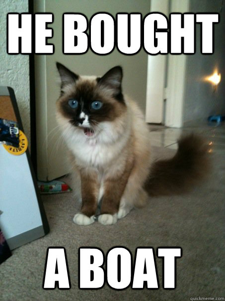 he bought a boat - he bought a boat  Amazed Cat