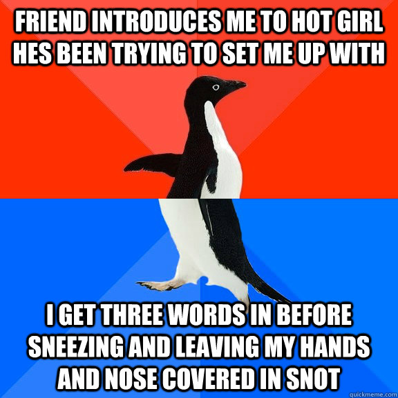 Friend introduces me to hot girl hes been trying to set me up with I get three words in before sneezing and leaving my hands and nose covered in snot  Socially Awesome Awkward Penguin