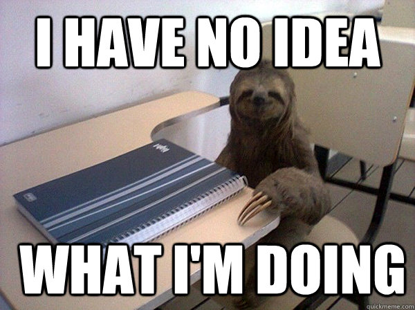 I HAVE no idea  WHAT I'm doing - I HAVE no idea  WHAT I'm doing  Law School Exam-Study Sloth