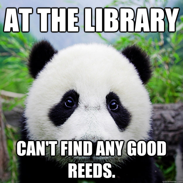 At the library Can't find any good reeds.   sad party panda