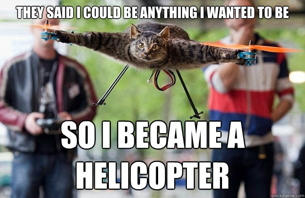 They said I could be anything I wanted to be SO I BECAME A HELICOPTER - They said I could be anything I wanted to be SO I BECAME A HELICOPTER  Misc