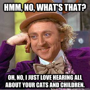 Hmm, no, what's that? Oh, no, I just love hearing all about your cats and children.  Condescending Wonka
