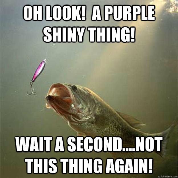 Oh Look!  A purple shiny thing! wait a second....Not this thing again!  