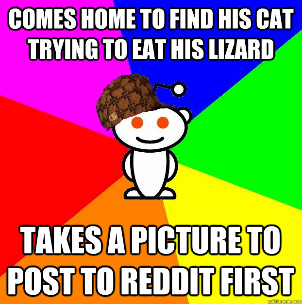 comes home to find his cat trying to eat his lizard takes a picture to post to reddit first  Scumbag Redditor
