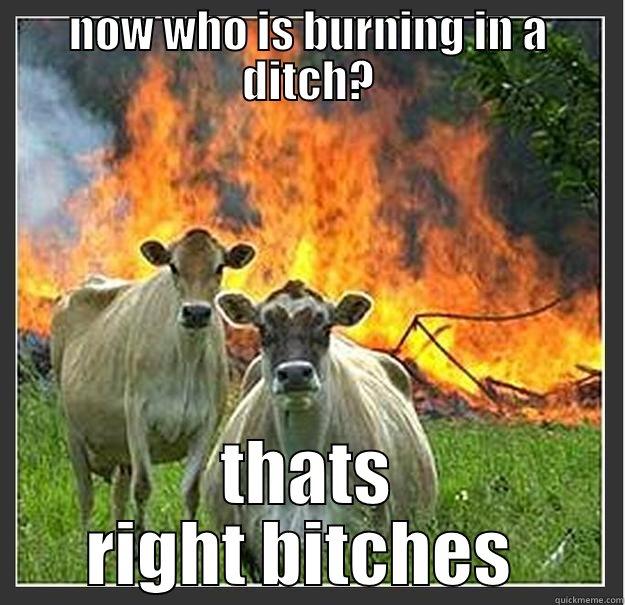 NOW WHO IS BURNING IN A DITCH? THATS RIGHT BITCHES  Evil cows