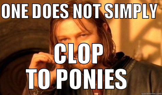 ONE DOES NOT SIMPLY  CLOP TO PONIES  Boromir