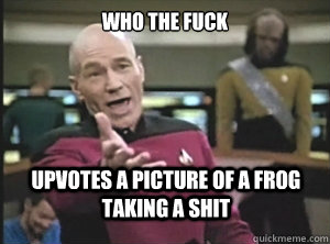 who the fuck upvotes a picture of a frog taking a shit - who the fuck upvotes a picture of a frog taking a shit  Annoyed Picard