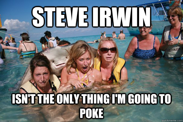 Steve Irwin Isn't the only thing I'm going to poke  Pervert Stingray