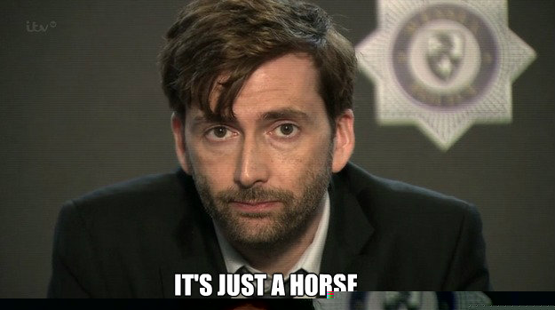  It's just a horse  