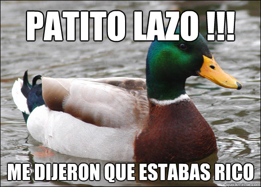 PATITO LAZO !!! ME DIJERON QUE ESTABAS RICO   Actual Advice Mallard