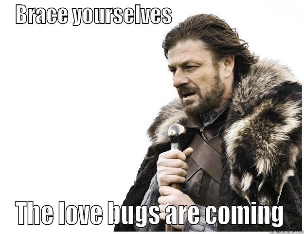 BRACE YOURSELVES                                THE LOVE BUGS ARE COMING Imminent Ned
