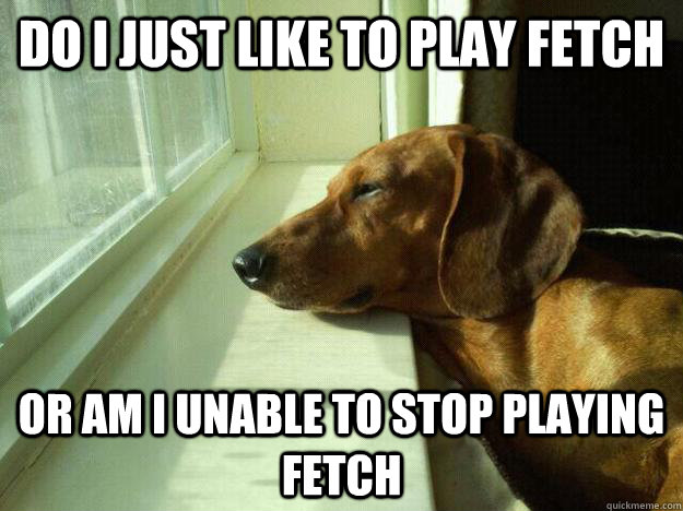 Do I Just Like to play fetch Or am I unable to Stop Playing Fetch - Do I Just Like to play fetch Or am I unable to Stop Playing Fetch  Deep Thought Dachshund