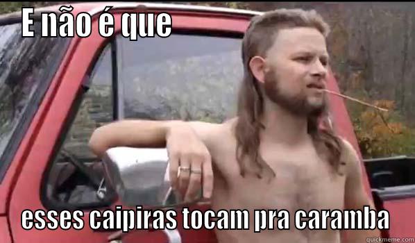 E NÃO É QUE                                       ESSES CAIPIRAS TOCAM PRA CARAMBA Almost Politically Correct Redneck