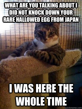 WHAT ARE YOU TAlking about i did not knock down your rare hallowed egg from japan  i was here the whole time    The Most Interesting Cat in the World