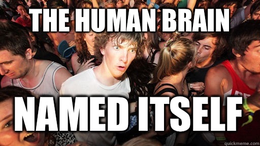 The human brain Named itself   Sudden Clarity Clarence