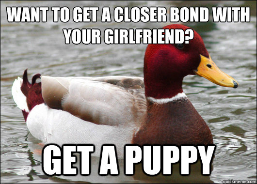 Want to get a closer bond with your girlfriend?
 Get a puppy  Malicious Advice Mallard