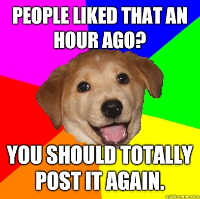 People liked that an hour ago? You should totally post it again.  - People liked that an hour ago? You should totally post it again.   Advice Dog