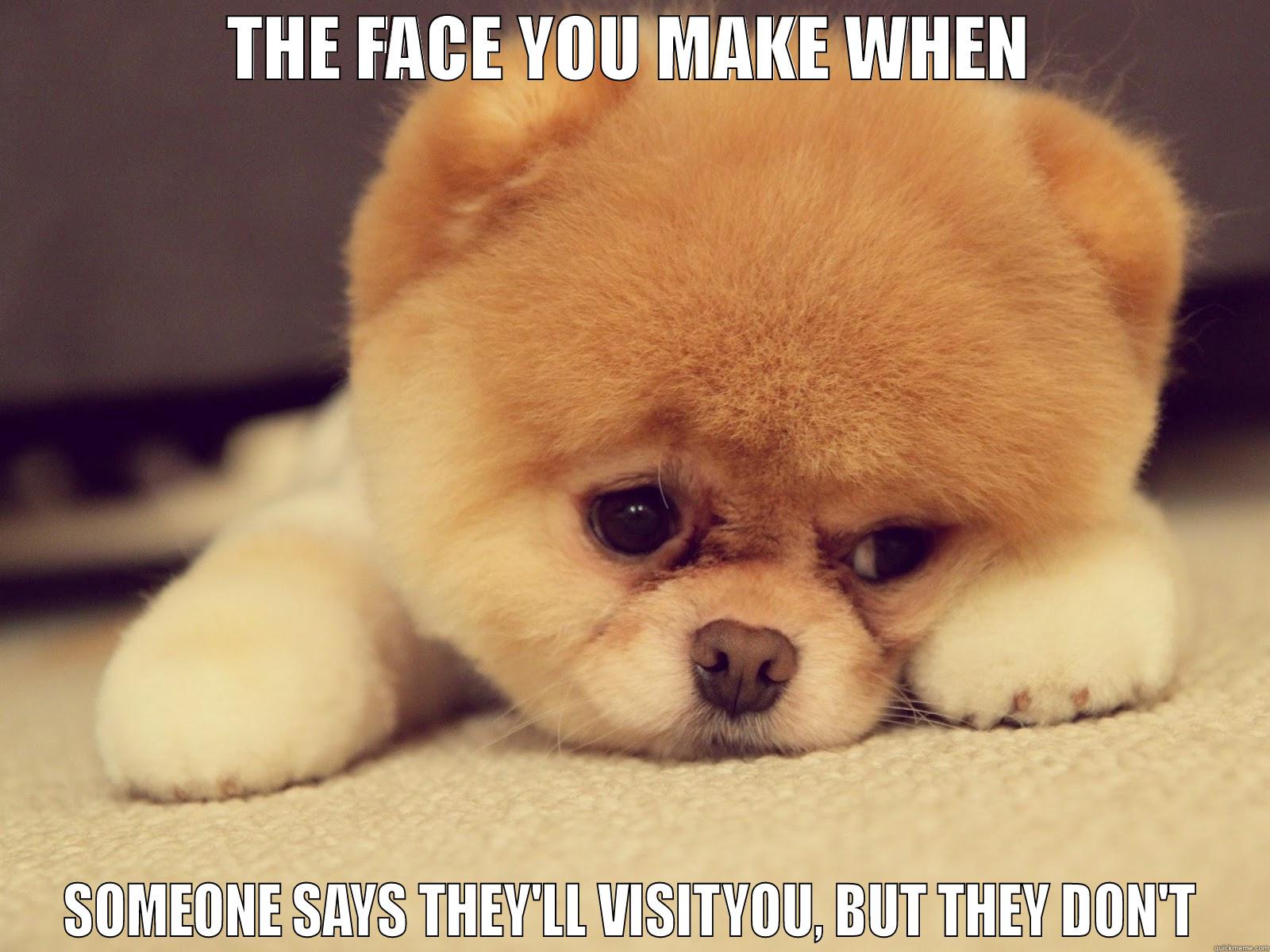 Sad Puppy - THE FACE YOU MAKE WHEN SOMEONE SAYS THEY'LL VISITYOU, BUT THEY DON'T Misc