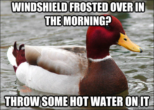 Windshield frosted over in the morning? Throw some hot water on it - Windshield frosted over in the morning? Throw some hot water on it  Malicious Advice Mallard