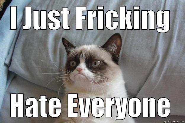 I JUST FRICKING HATE EVERYONE Grumpy Cat