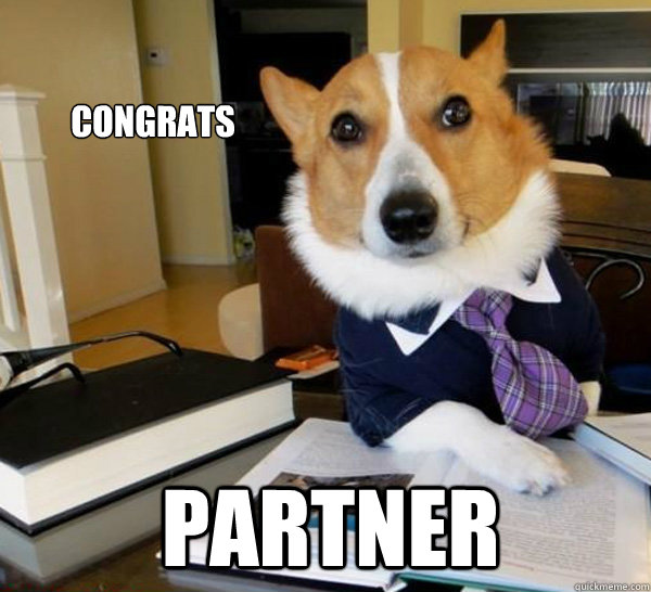 Congrats PARTNER - Congrats PARTNER  Lawyer Dog
