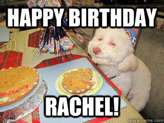 HAPPY BIRTHDAY Rachel! - HAPPY BIRTHDAY Rachel!  High Birthday Dog