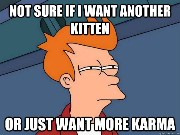 Not sure if I want another Kitten Or just want more karma - Not sure if I want another Kitten Or just want more karma  Futurama Fry