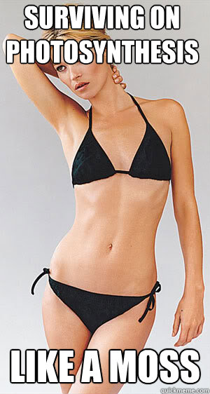 surviving on photosynthesis like a moss - surviving on photosynthesis like a moss  Kate Moss