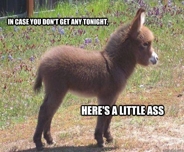 in case you don't get any tonight,  here's a little ass  in case you dont get any tonight