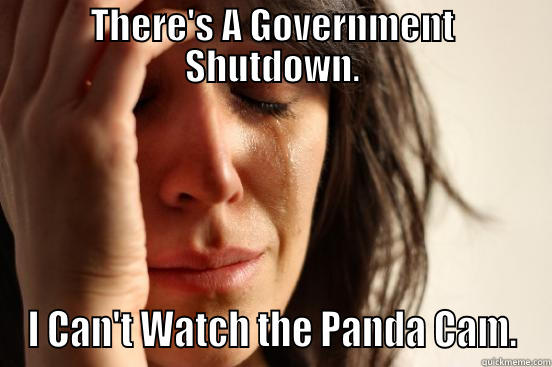 THERE'S A GOVERNMENT SHUTDOWN. I CAN'T WATCH THE PANDA CAM. First World Problems